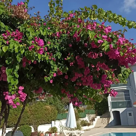 White With Pool , Garden ,balcony With Amazing Panorama Villa *